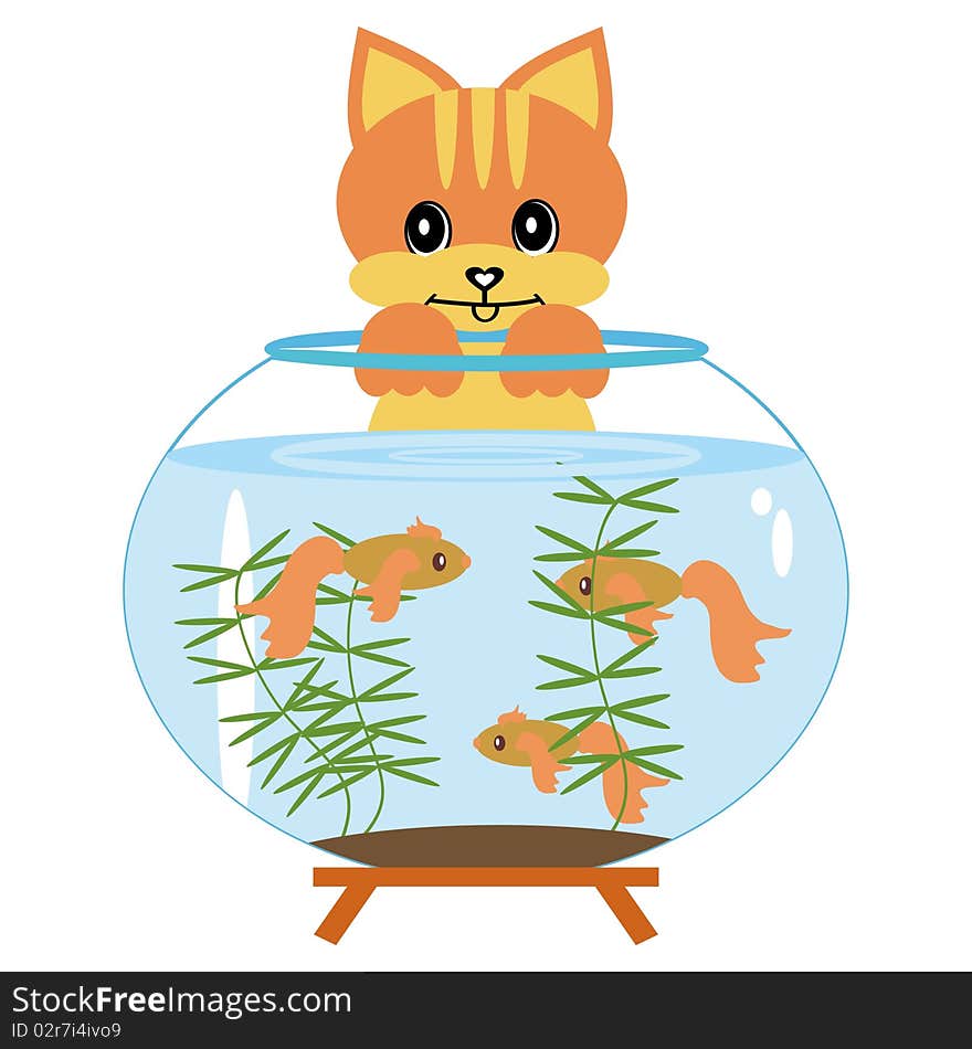 Cat with aquarium and fish on white