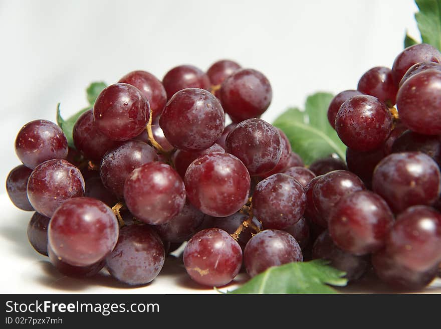 Close up red grape isolated. Close up red grape isolated