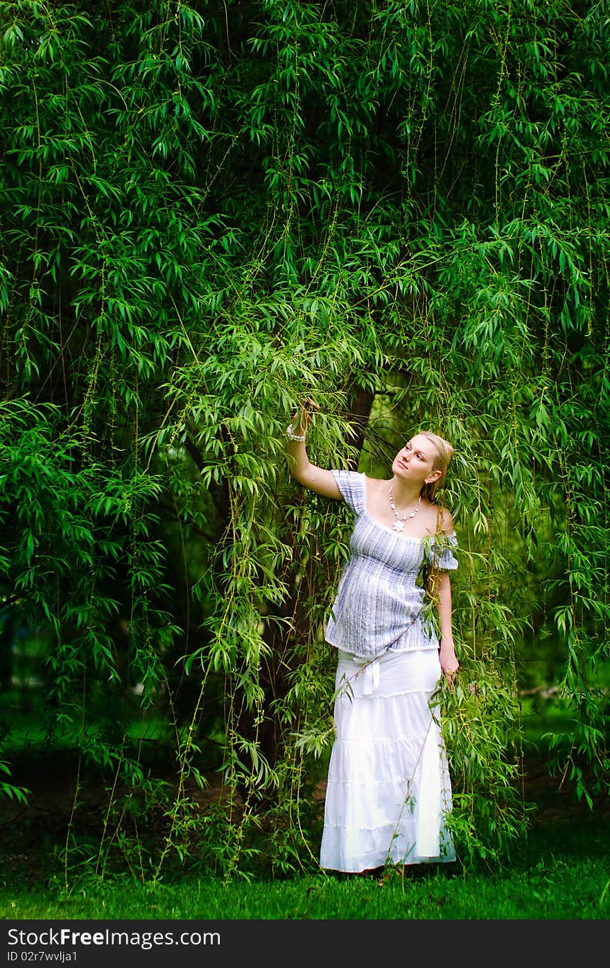 Beautiful pregnant woman stands in the willow garden. Beautiful pregnant woman stands in the willow garden