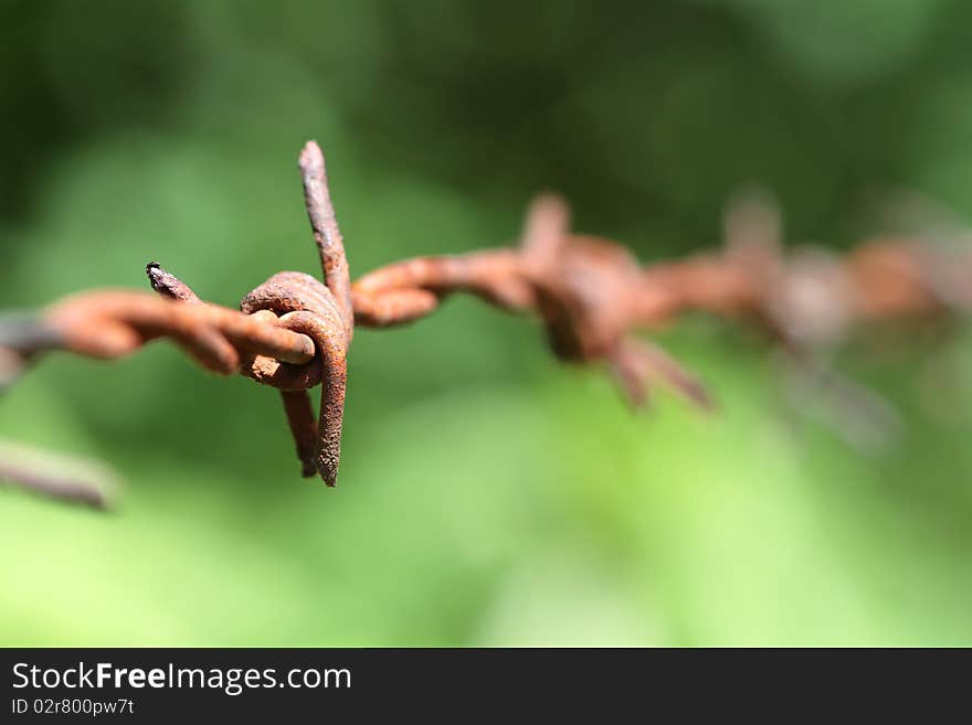 Barbed Wire with a green background