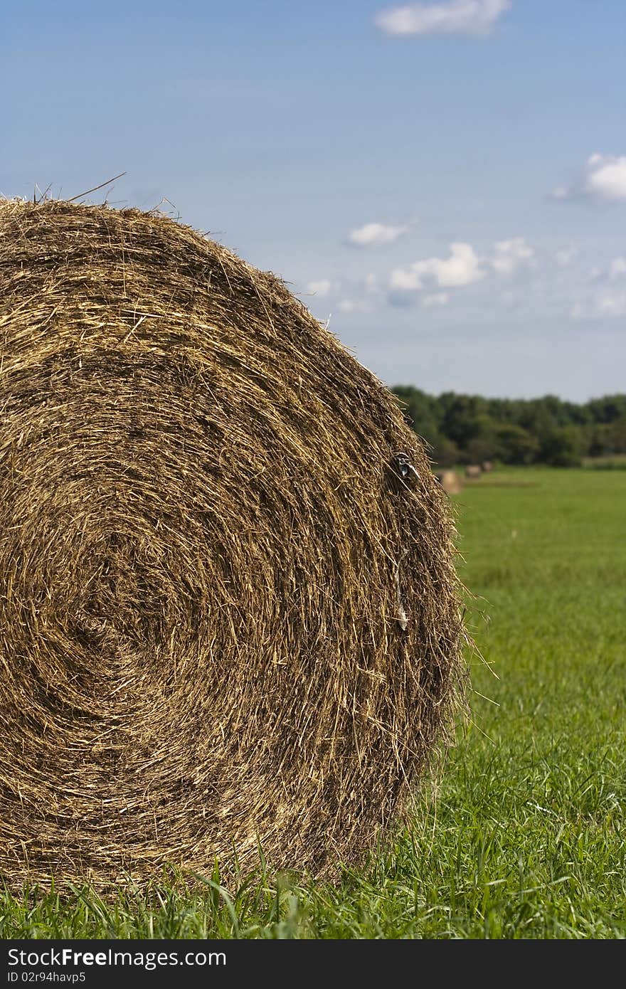 Bales Of Hay