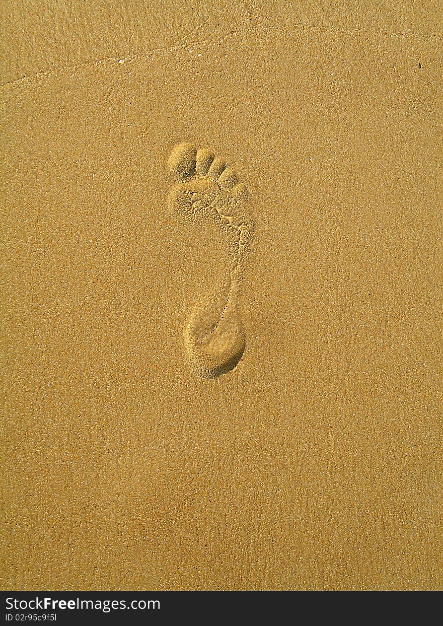 Footprint In The Sand