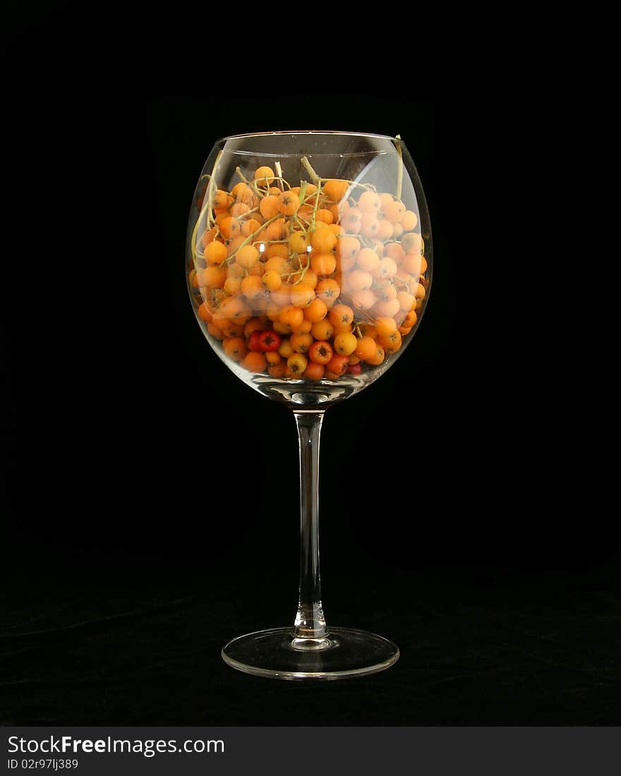 Natural  rowan in a large glass wine glasses