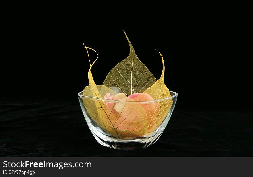 Floral Fantasy of leaves and flower petals in a glass vase, on black