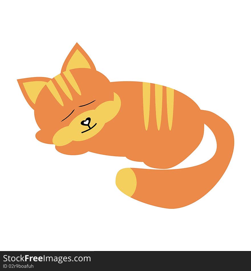 Sleeping cat on white background