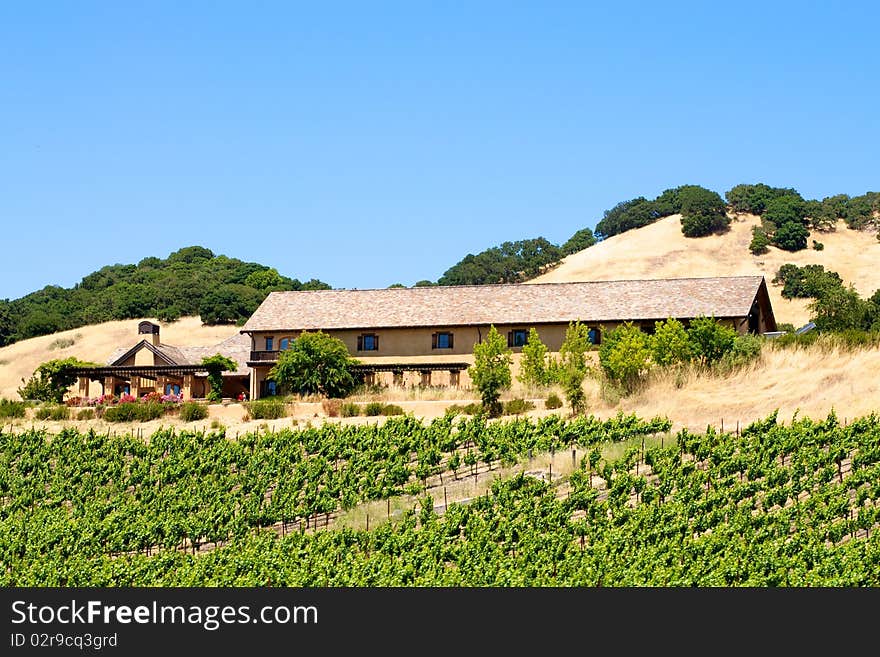 A local vineyard in Napa with a beautiful grove out front.