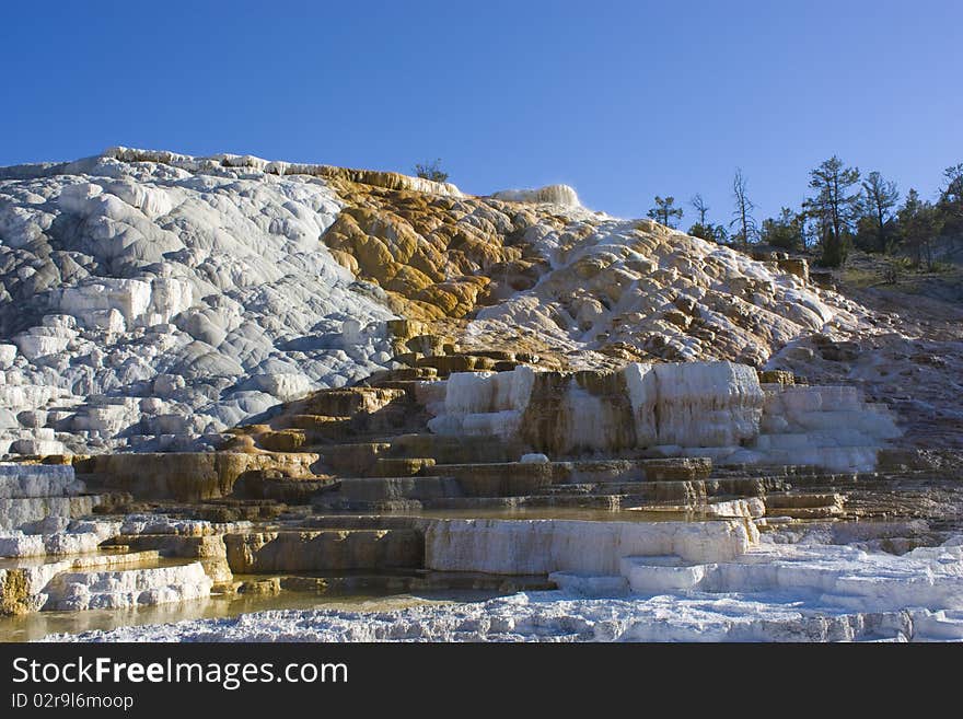 Mammoth Hot Springs