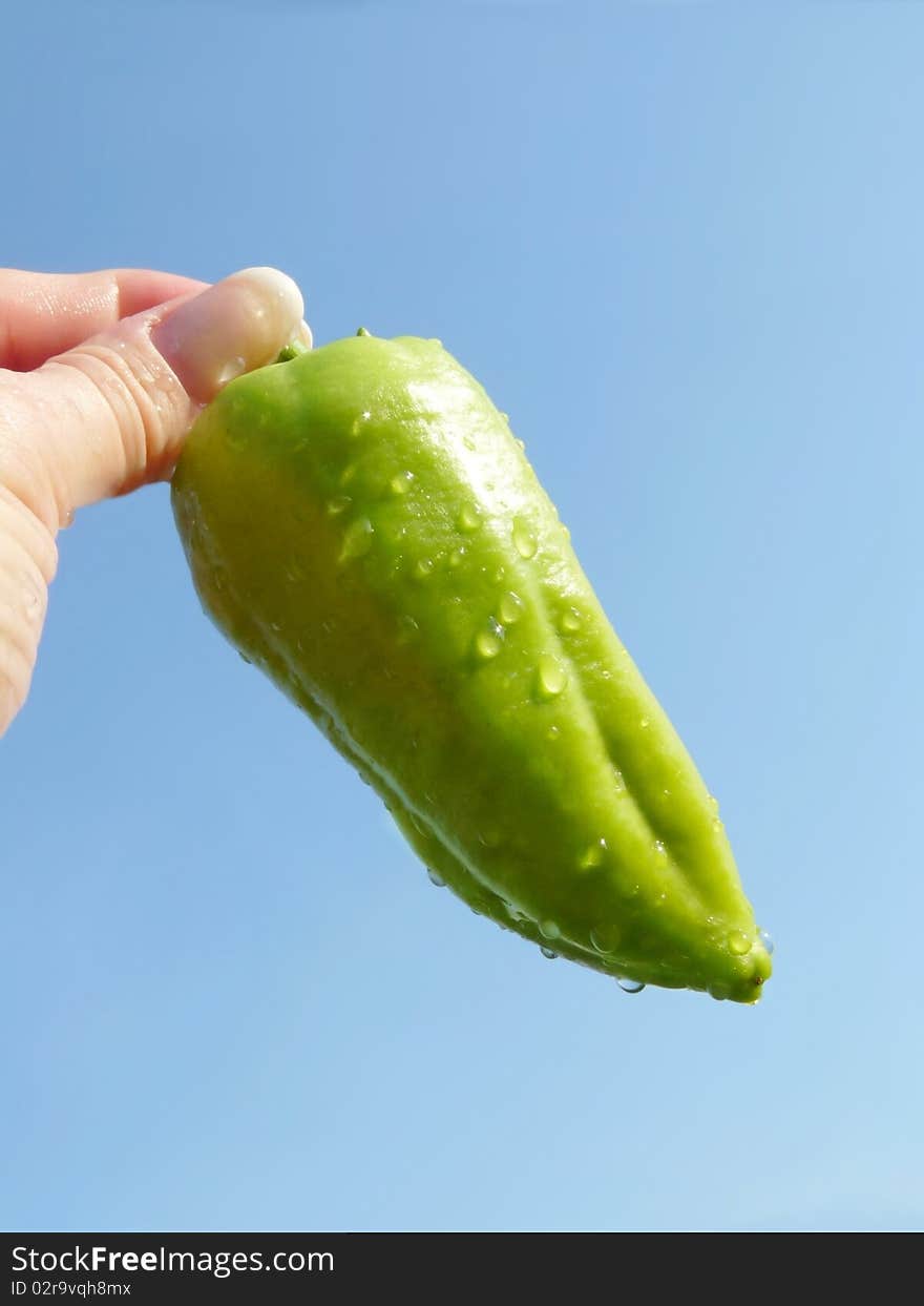 Sweet pepper skyline.