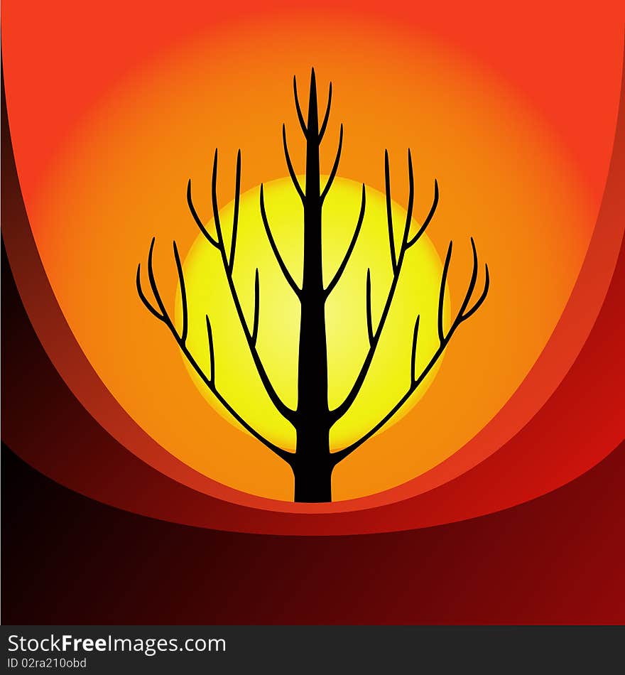 A bare tree against the background of the rising sun. A bare tree against the background of the rising sun