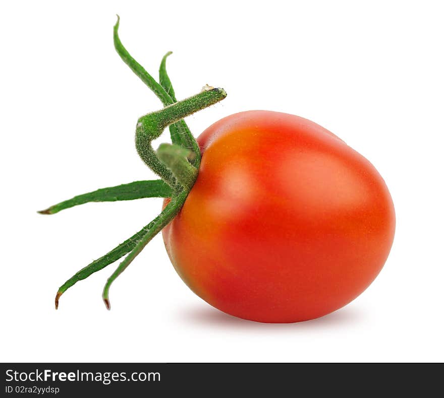 Selected tomato on a white background. Clipping path.