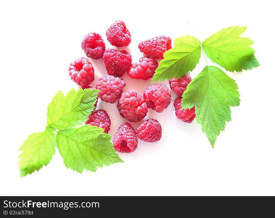 raspberry and leaves