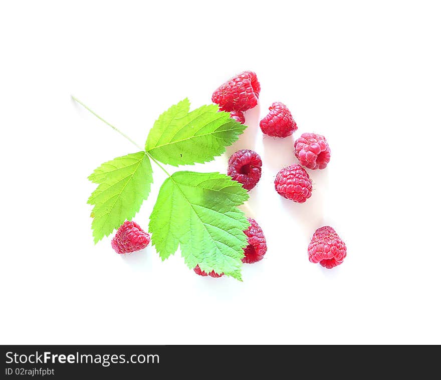 Berries of raspberry and leave on a white background