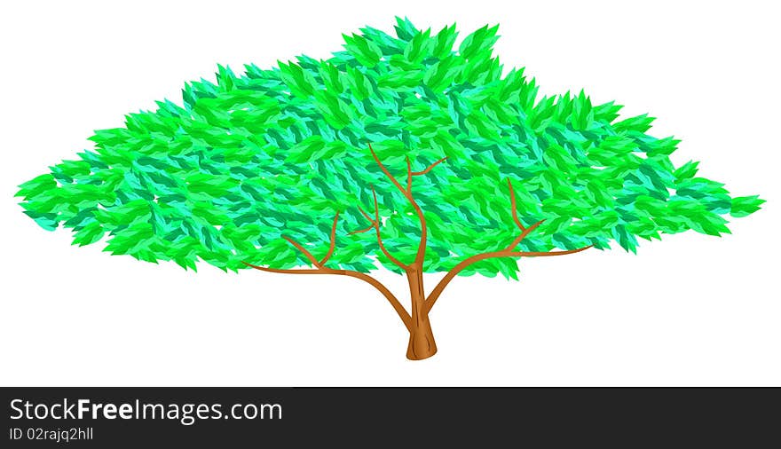 Vector tree with lush green stylized leaves and branches. Vector tree with lush green stylized leaves and branches