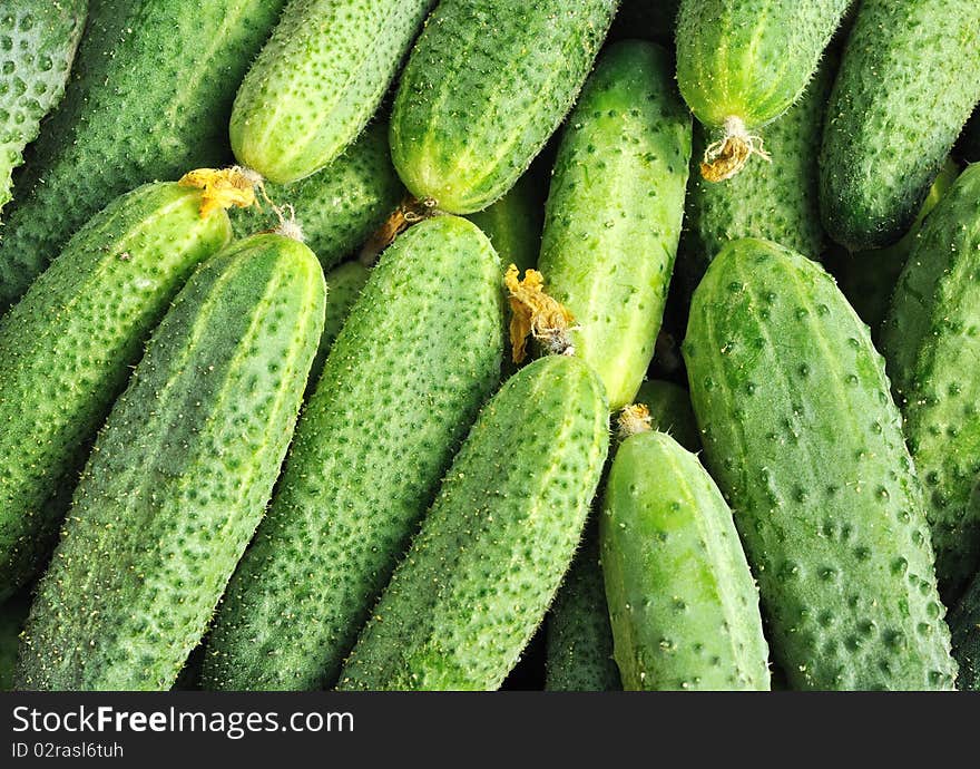 Cucumbers