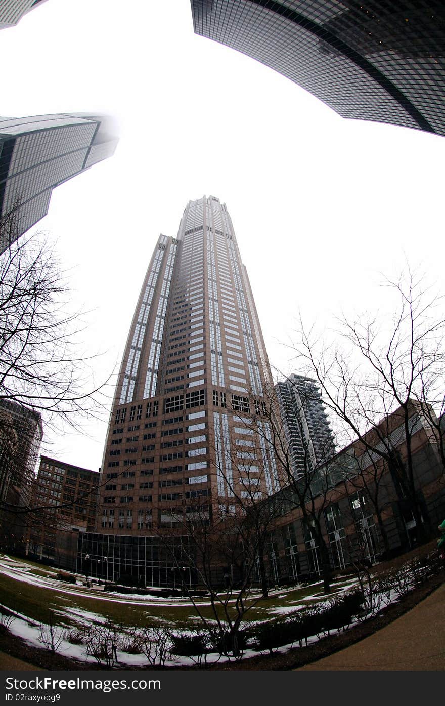 Fish eye view of Chicago skyscraper buildings in winter