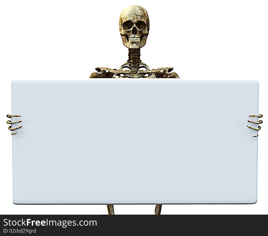 In biology, a skeleton is a rigid framework that provides structure as well as protection in humans. This image is excellent for biology science or halloween illustration. In biology, a skeleton is a rigid framework that provides structure as well as protection in humans. This image is excellent for biology science or halloween illustration.