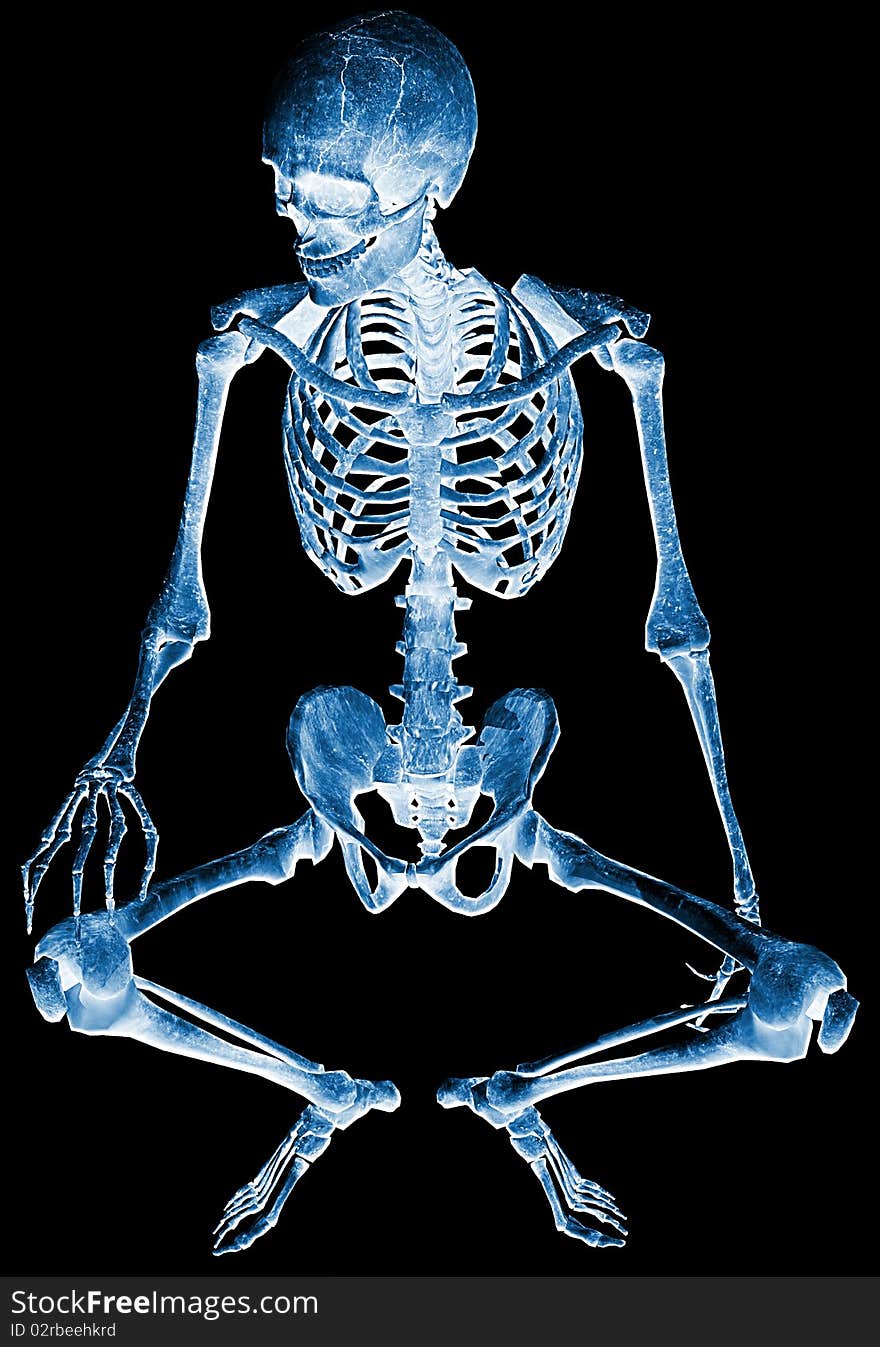 Skeleton seated xray