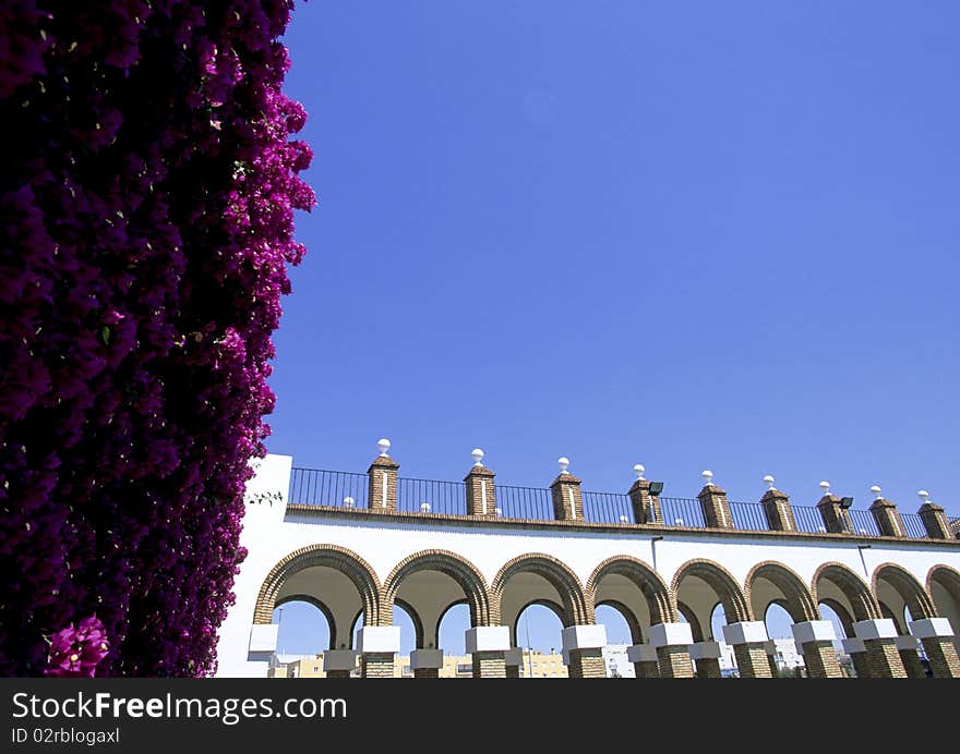 Flowers with architecture