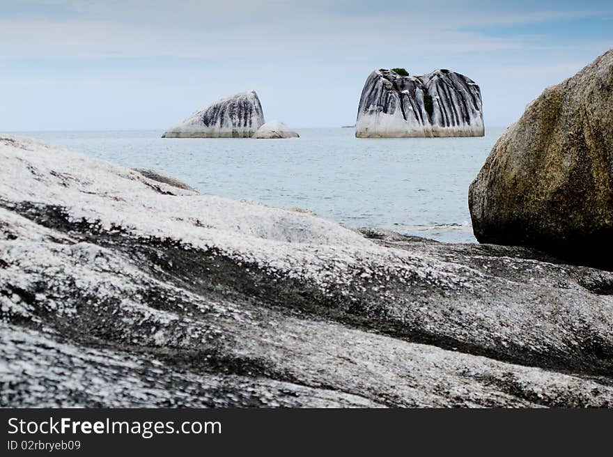 Exotic pig island at belitung indonesia