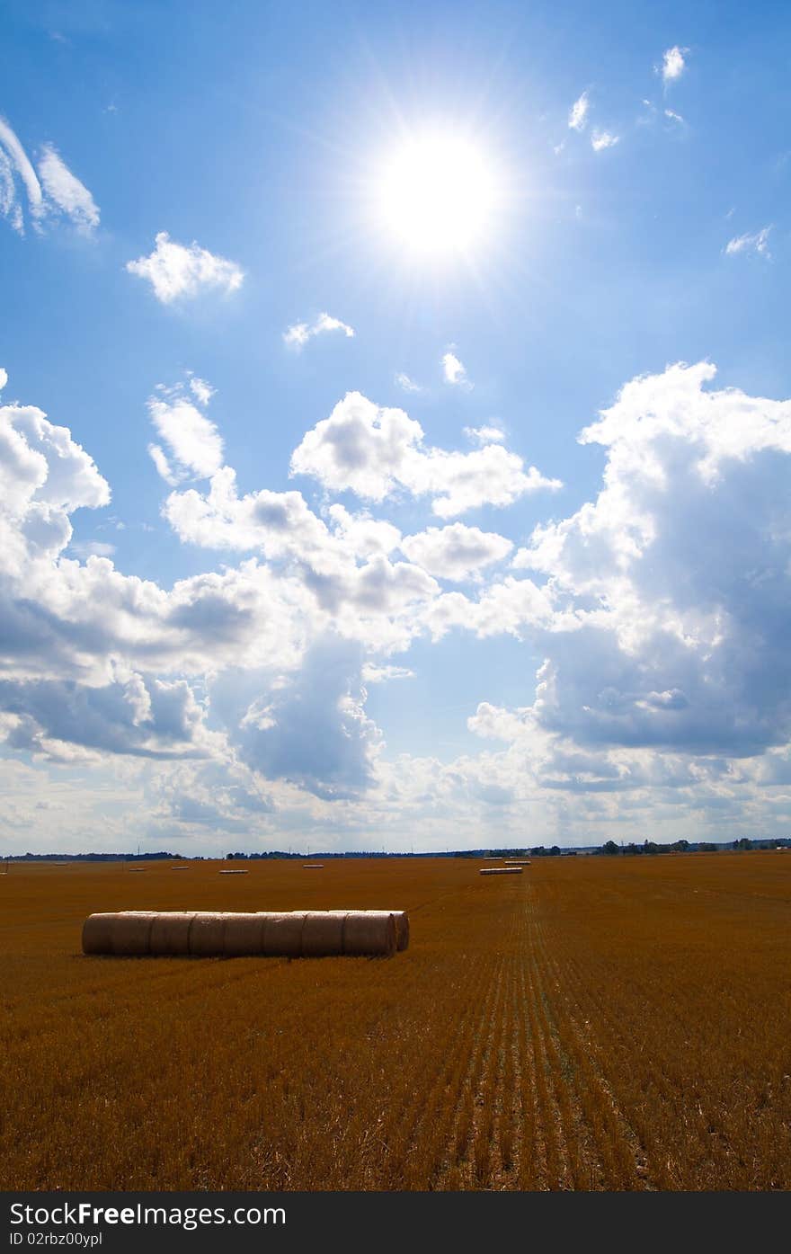 Hay Balls Under The Sky