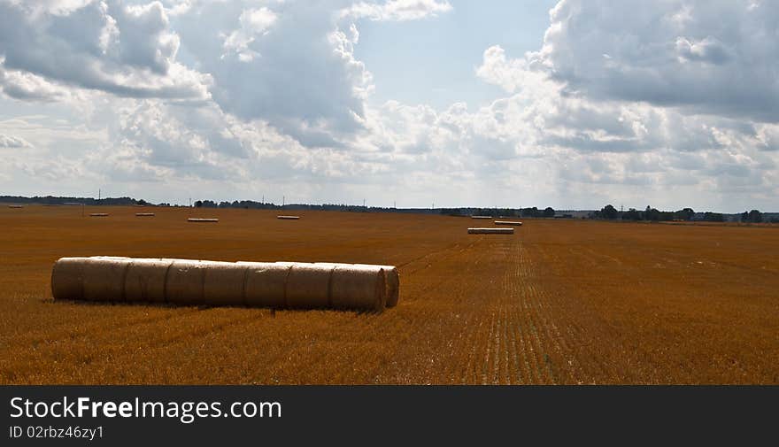 Hay balls under the sky