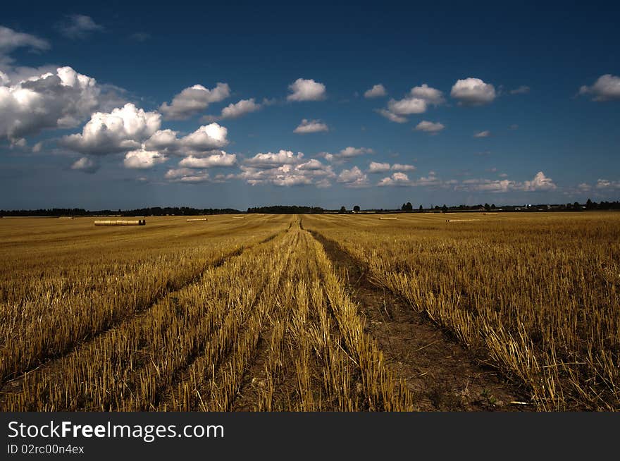 Field and hay balls under sky