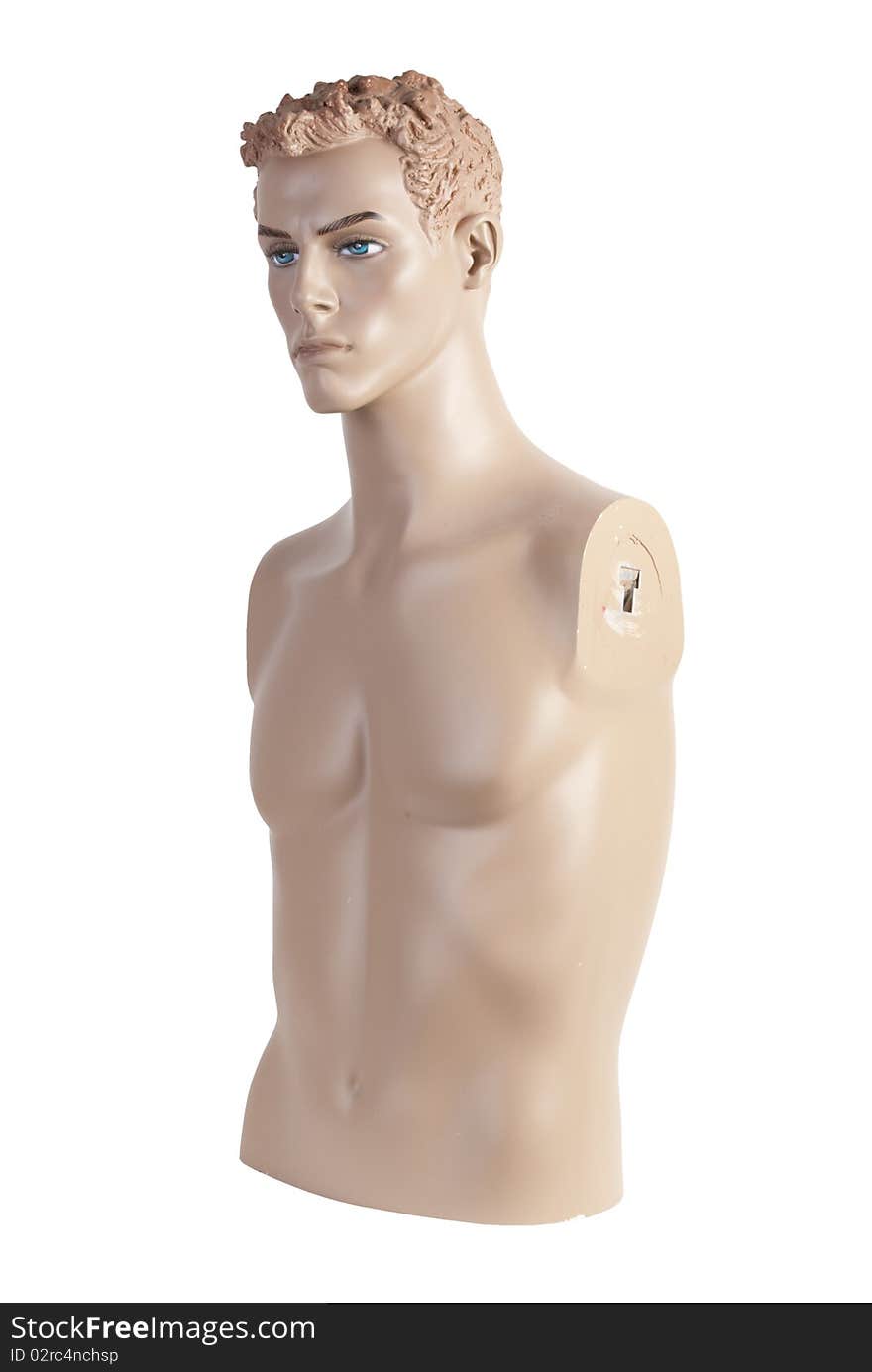 Male mannequin torso | Studio isolated