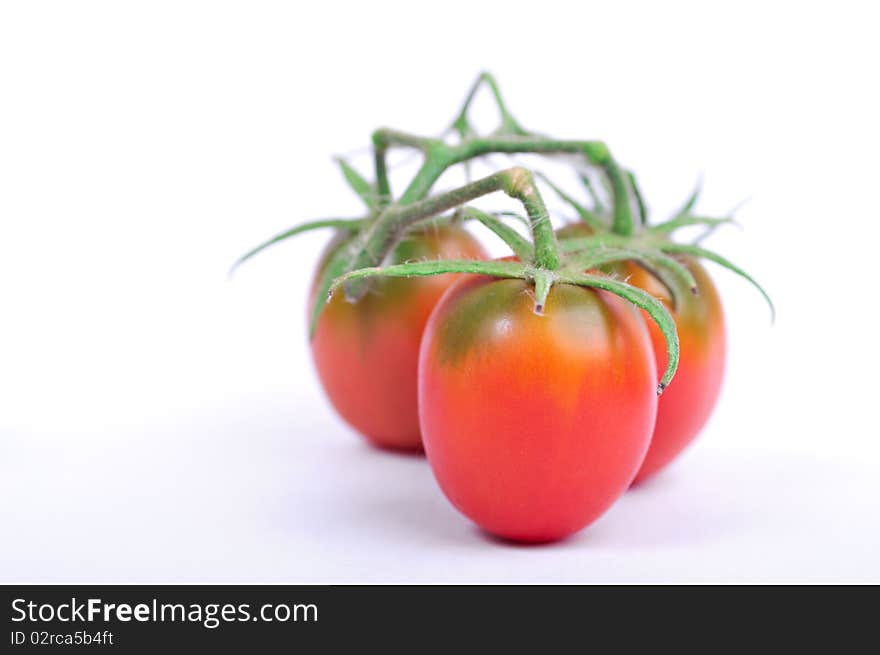 Special Variety Of Tomatoes