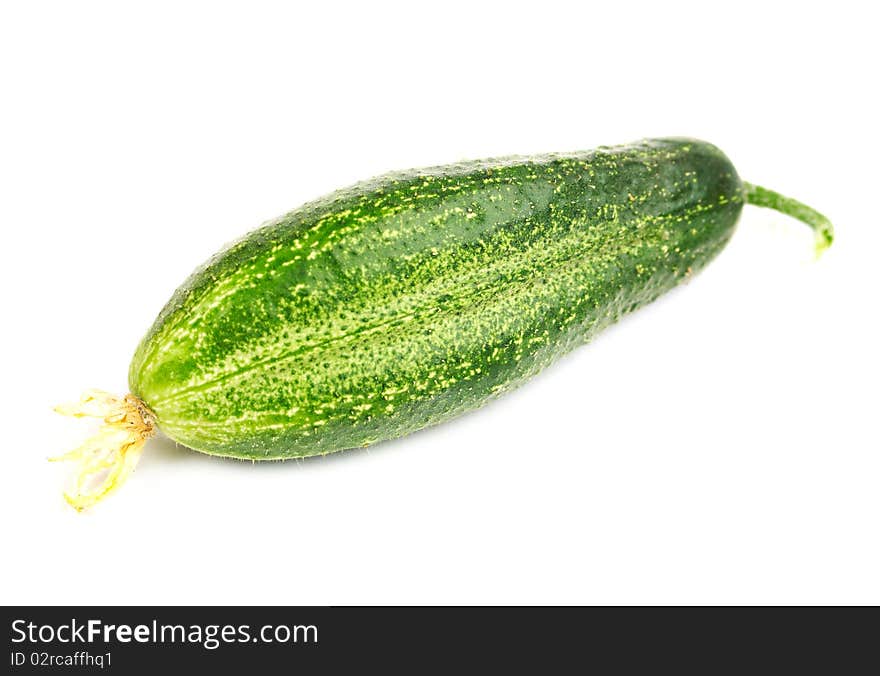 Isolated cucumber