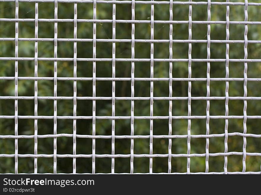 Of cells visible green plants. Of cells visible green plants