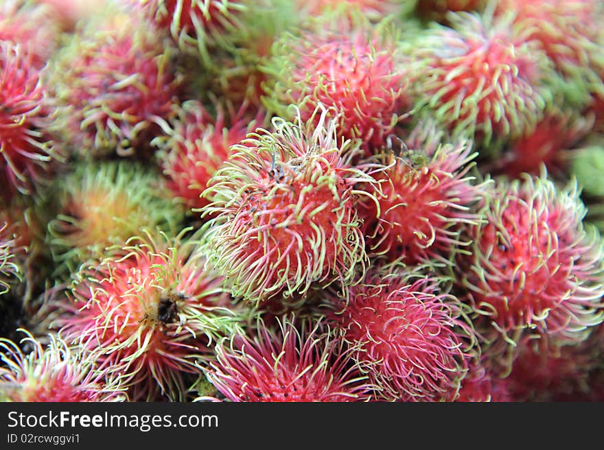 Rambutan fruit