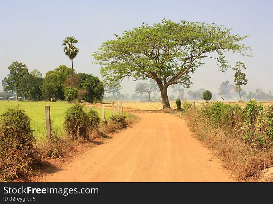 Plai Na Rural Road, Chai Nat province. Plai Na Rural Road, Chai Nat province