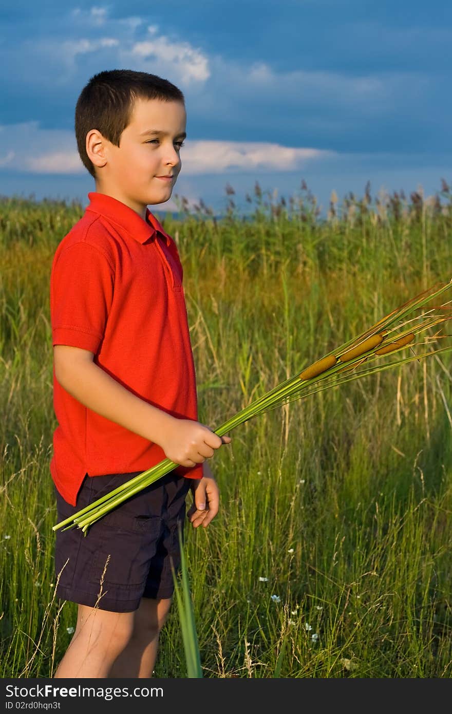 Happy little boy holding in his hands reeds. Happy little boy holding in his hands reeds