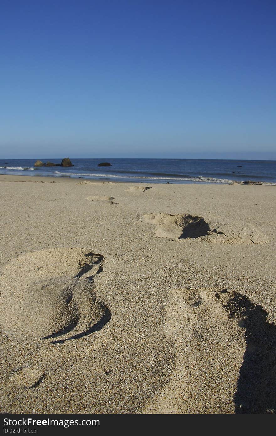 Footprints in sand go to beach