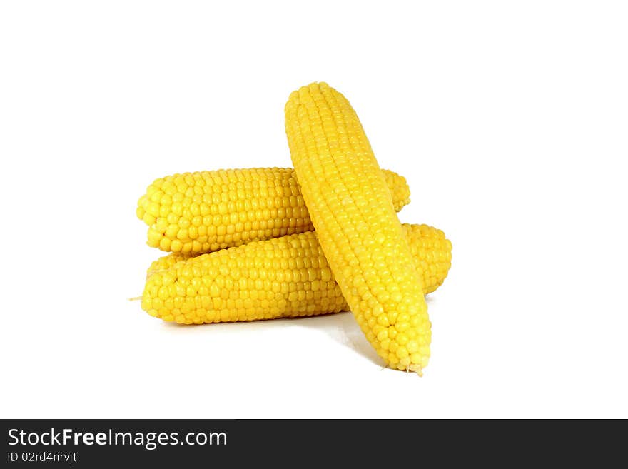 Cooked corn cob sweetcorn