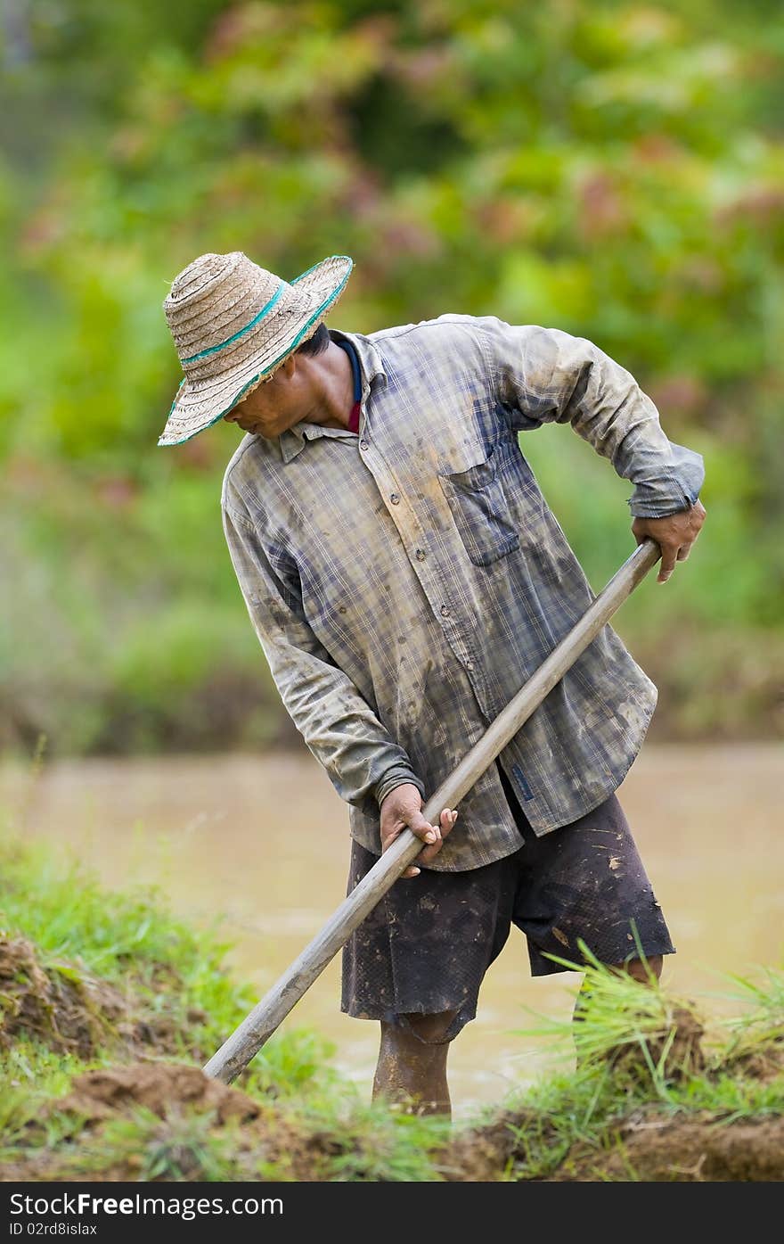 Asian farmer preparing the ground