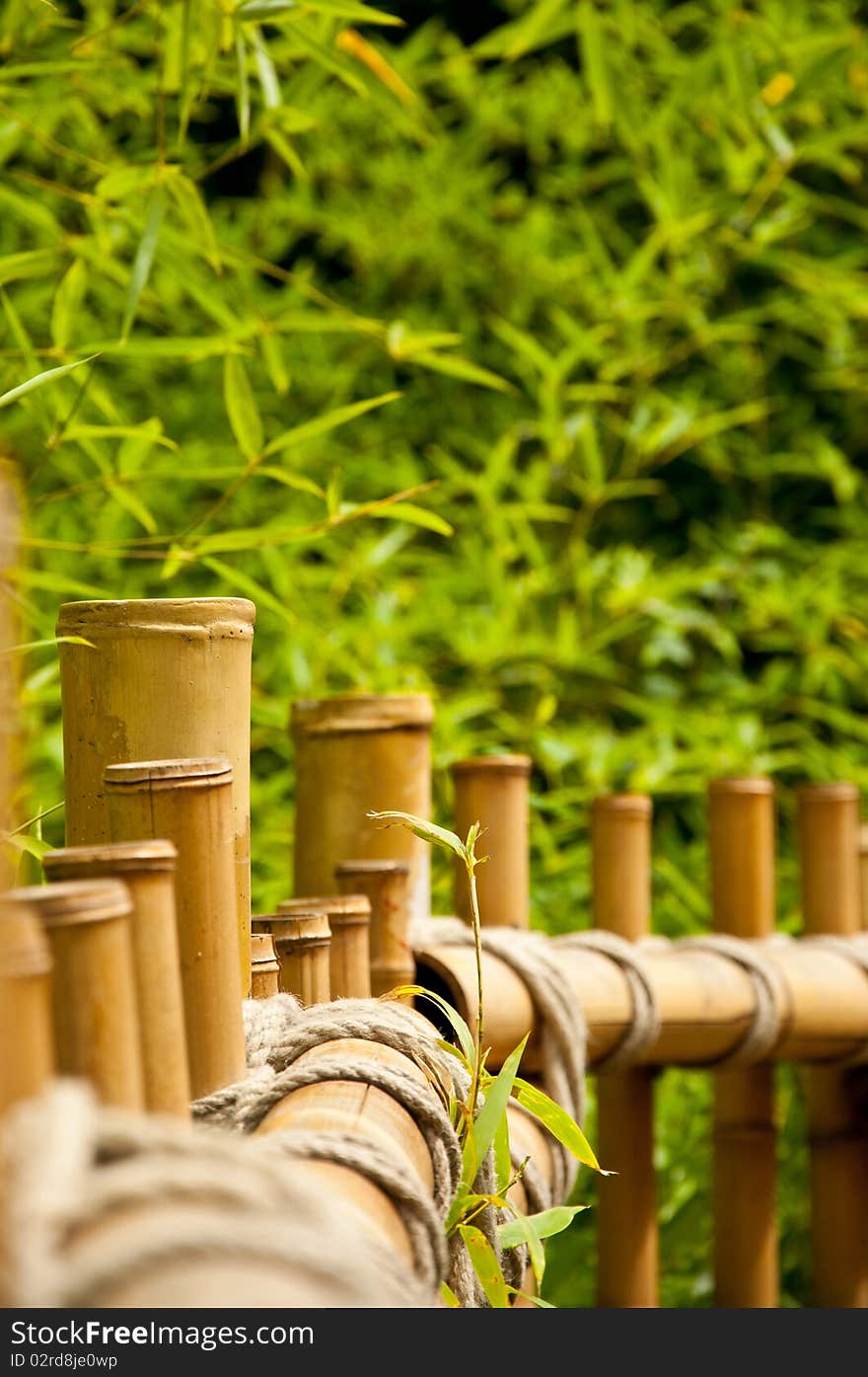 A bamboo fence with some plants in the background