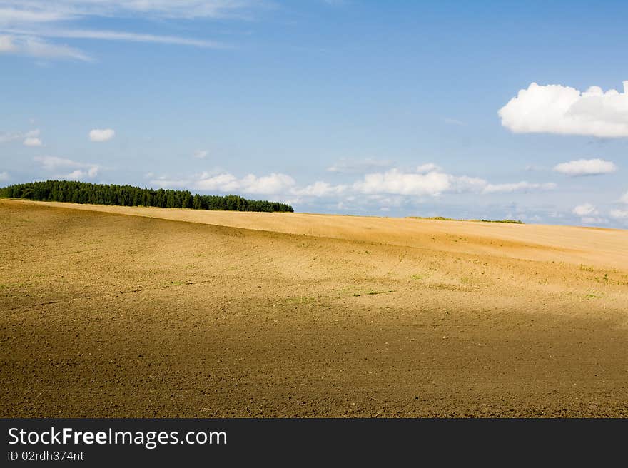 The ploughed field after gathering of ripened wheat. The ploughed field after gathering of ripened wheat