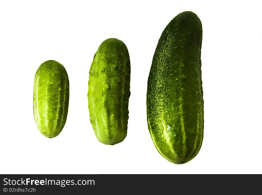 Different cucumbers