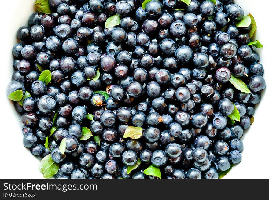 Pile of blueberries on white background. Pile of blueberries on white background.