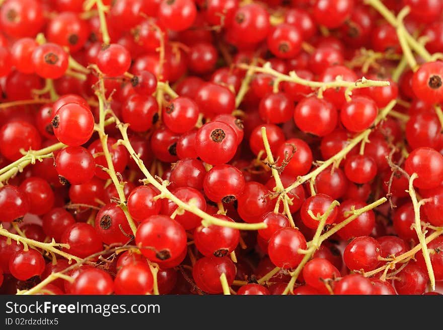 Red currants