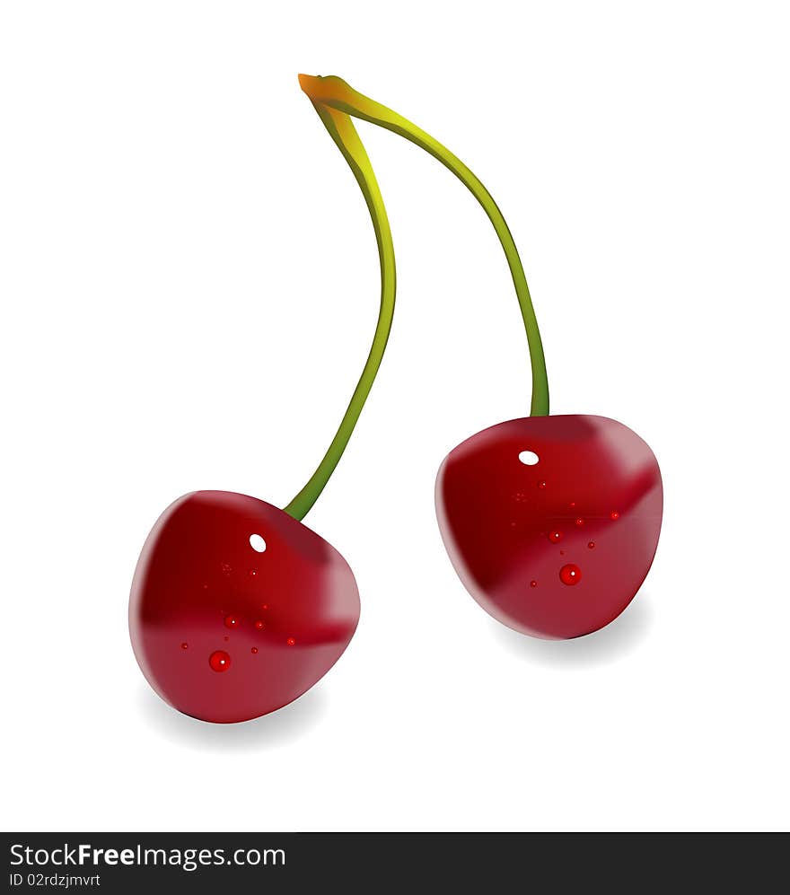 Mesh illustration of two fresh picked cherries with their stem. Mesh illustration of two fresh picked cherries with their stem