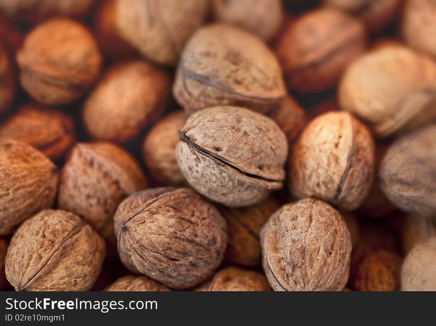 Many common walnuts  in the shells