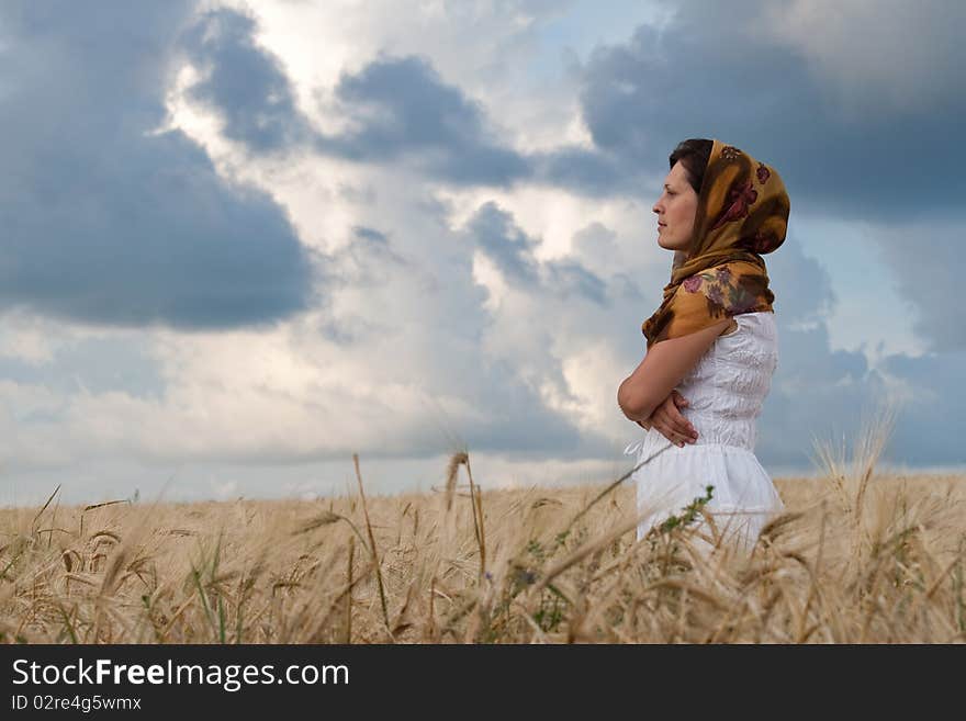 Field of wheat