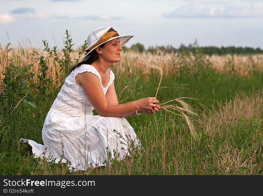 Field of wheat