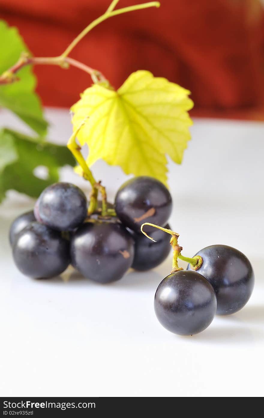 Grape on white