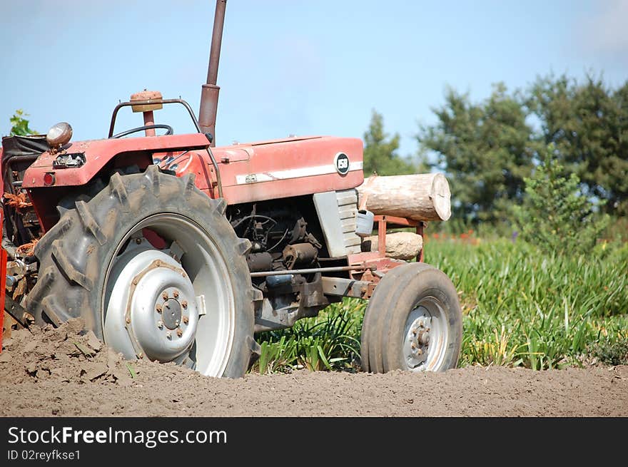 An old red tractor is still performing her job but got stuck in the sandy grounds. Note the wooden counterweights to prevent tipping over. An old red tractor is still performing her job but got stuck in the sandy grounds. Note the wooden counterweights to prevent tipping over.