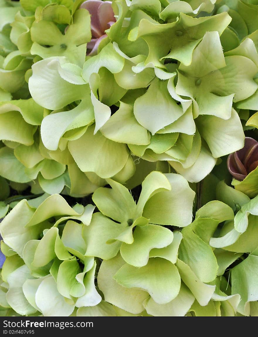 Pastel Green Silk Flowers