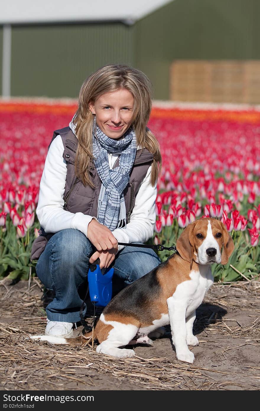 Young woman walking with her beagle dog on flower fields. Young woman walking with her beagle dog on flower fields