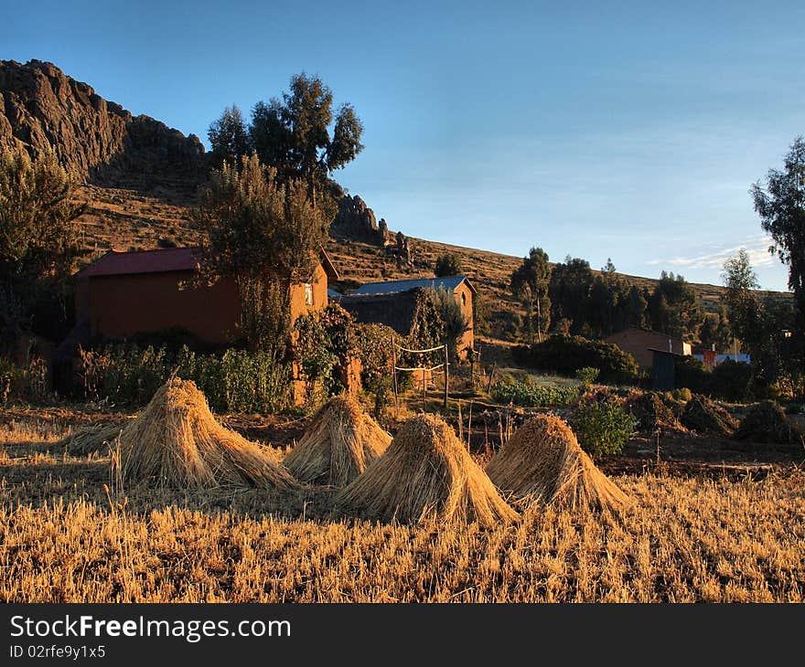 Harvest on Amantani Island, Lake Titicaca, Peru. Harvest on Amantani Island, Lake Titicaca, Peru